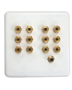 5.1/6.1 Speaker Wall Plate