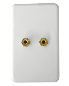 Single Speaker Wall Plate