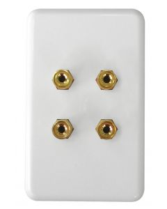 Two Speaker Wall Plate