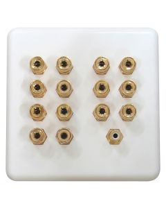 7.1 Speaker Wall Plate