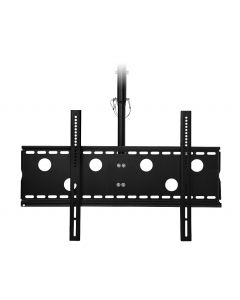 Ceiling Mount - 32" to 60" - Single